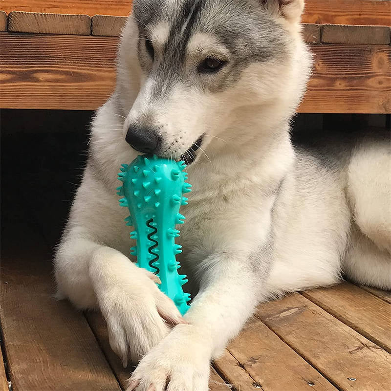 Durable Dog Chew Toy β Rubber Molar Stick for Dental Cleaning & Healthy Teeth