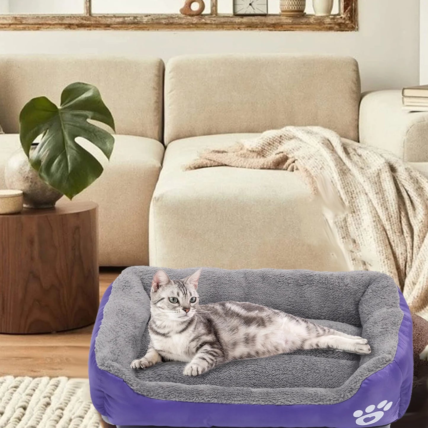 Dog Bed Washable Pet Cat Beds for Small Puppy Medium Dogs Cats, Purple