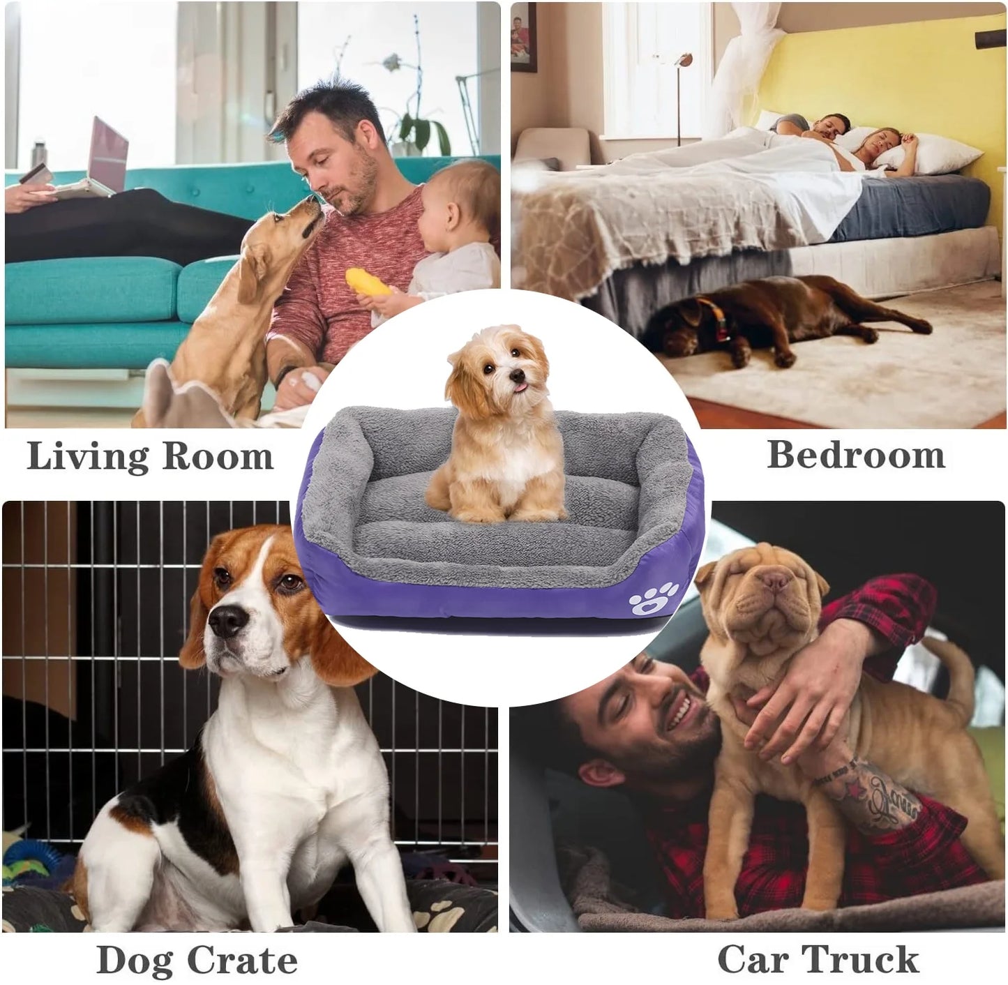 Dog Bed Washable Pet Cat Beds for Small Puppy Medium Dogs Cats, Purple
