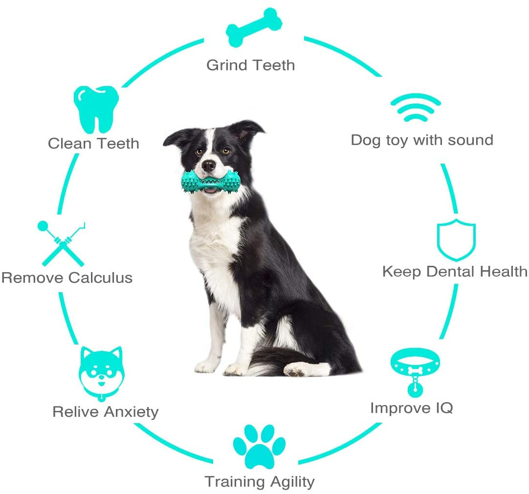 Durable Dog Chew Toy – Rubber Molar Stick for Dental Cleaning & Healthy Teeth