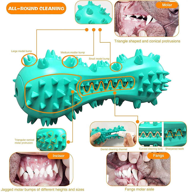 Durable Dog Chew Toy – Rubber Molar Stick for Dental Cleaning & Healthy Teeth