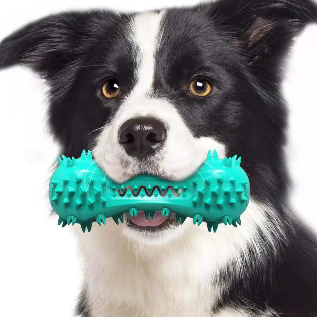 Durable Dog Chew Toy – Rubber Molar Stick for Dental Cleaning & Healthy Teeth